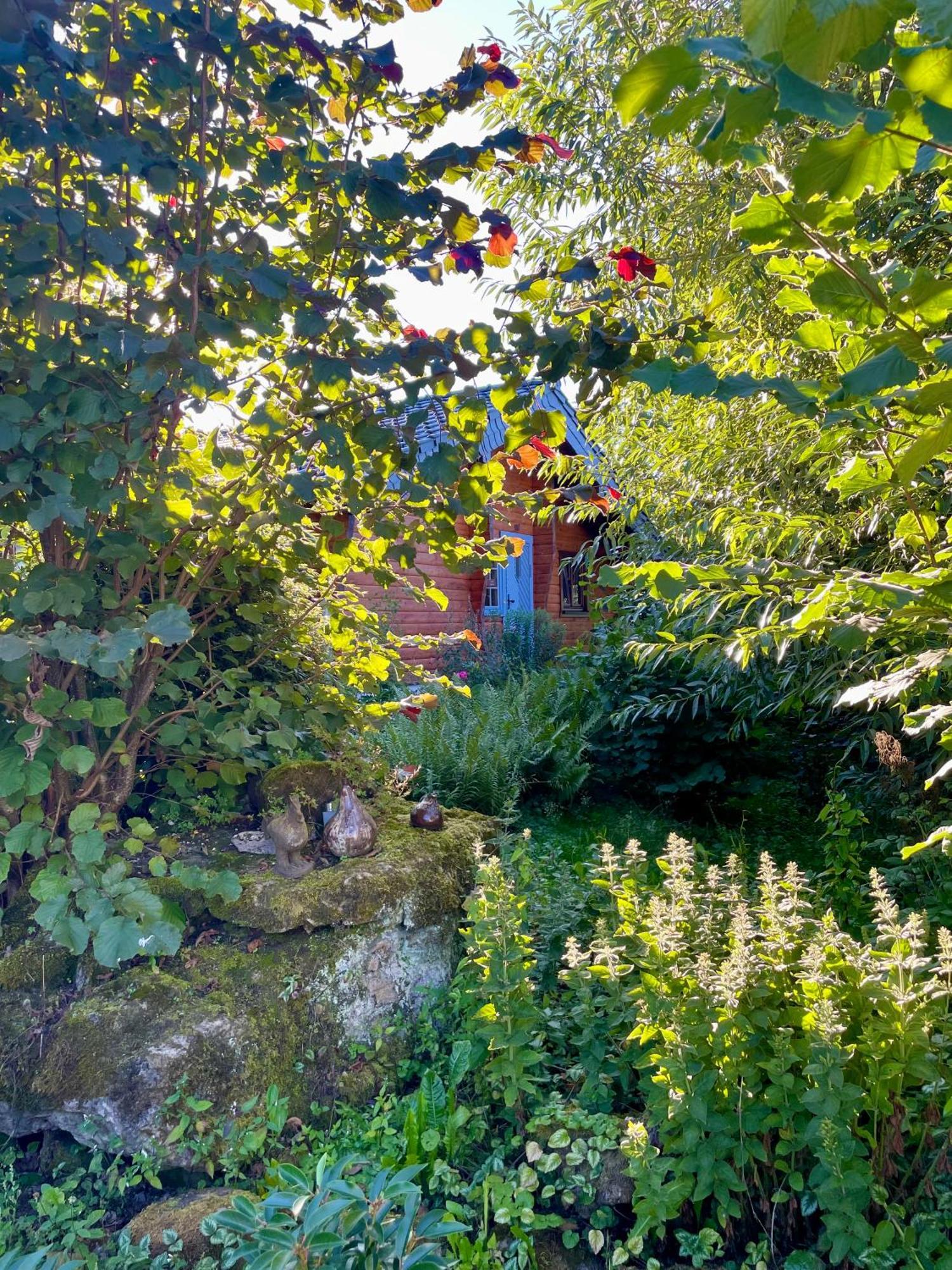 Ferienhaus Thelen Hersdorf Esterno foto